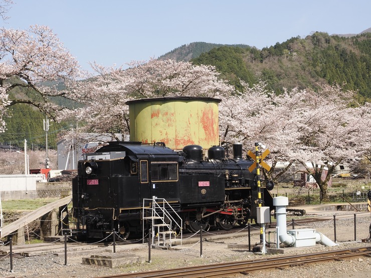 250409yazu02